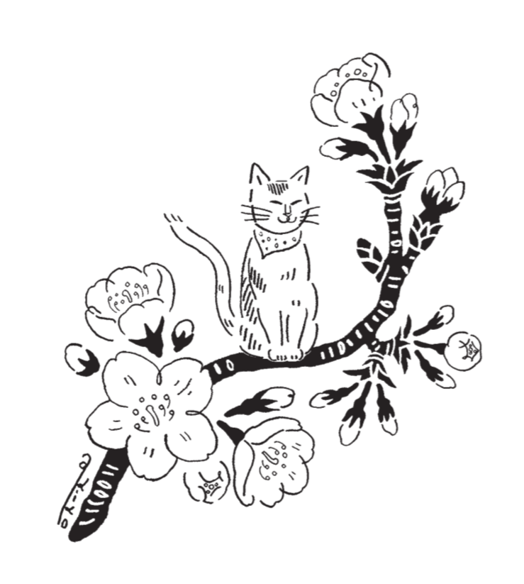 イラストレーターご紹介 いなずみ あきこ 活版カムパネルラ 尾道で活版印刷体験ができる雑貨店